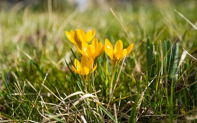 PhD News: March 2026